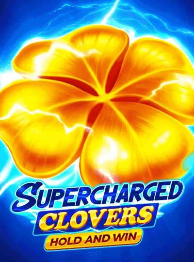 cln88 cln88